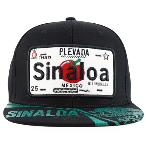 Trendy Apparel Shop Mexico States Auto License Plate Theme Flat Bill Snapback Cap