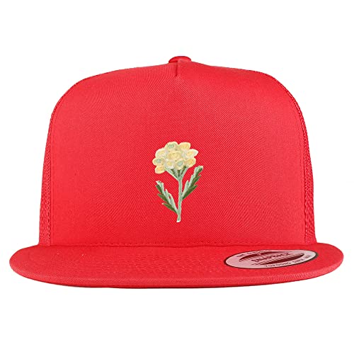 AP0028-FLX-6006-RED