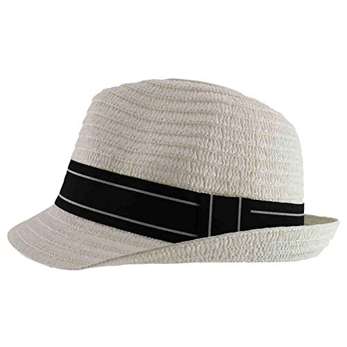 Trendy Apparel Shop Men's Paper Straw Woven Striped Band Stingy Fedora Hat