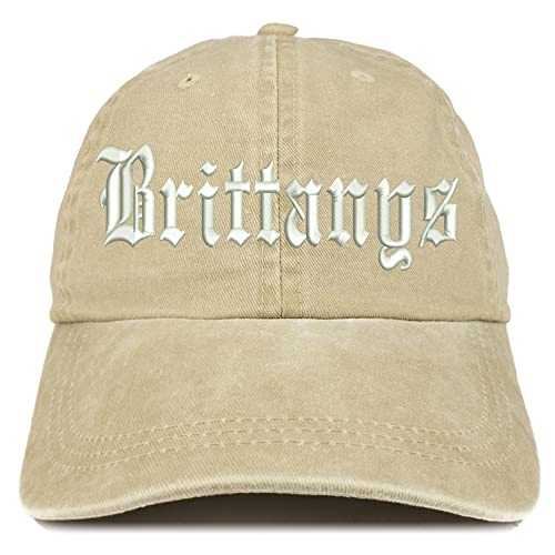 Trendy Apparel Shop Old English Brittanys Washed Pigment Dyed Baseball Cap
