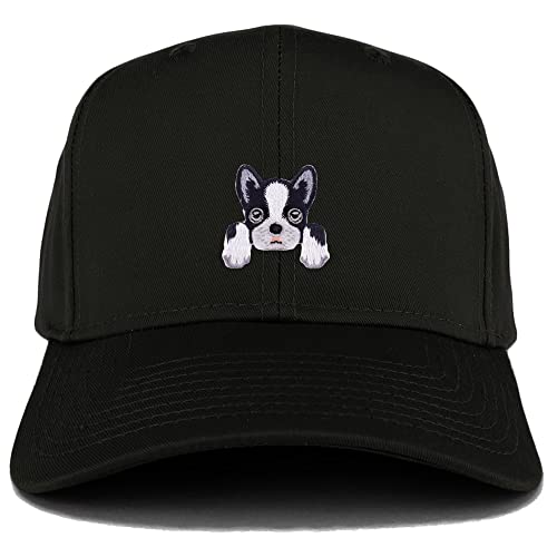 AP0015-27-079-BLK