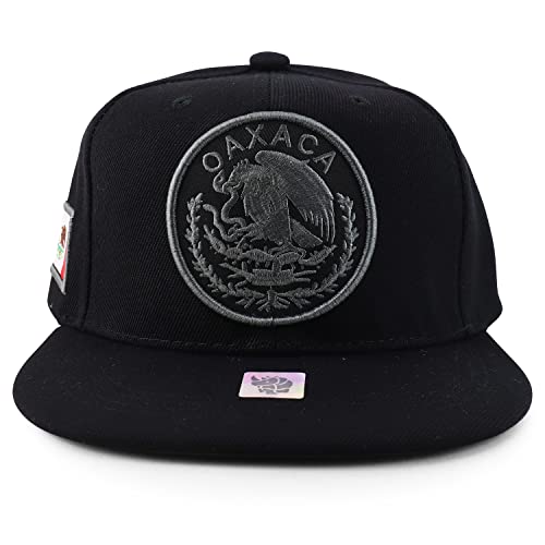 Trendy Apparel Shop Kids Cities of Mexico Circular Logo Embroidered Structured Snapback Cap