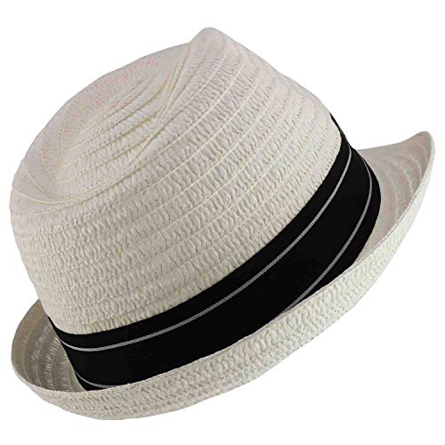 Trendy Apparel Shop Men's Paper Straw Woven Striped Band Stingy Fedora Hat