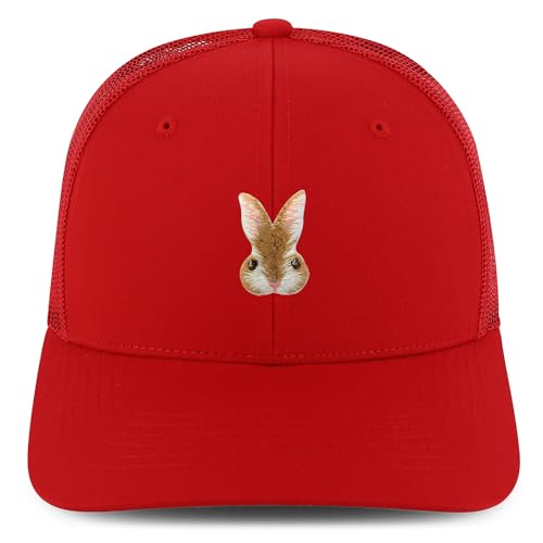 AP0183-NIS-GNV-003M-RED