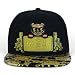 Trendy Apaprel Shop 5 Panel Bear Money Design Embroidered Flatbill Snapback Cap