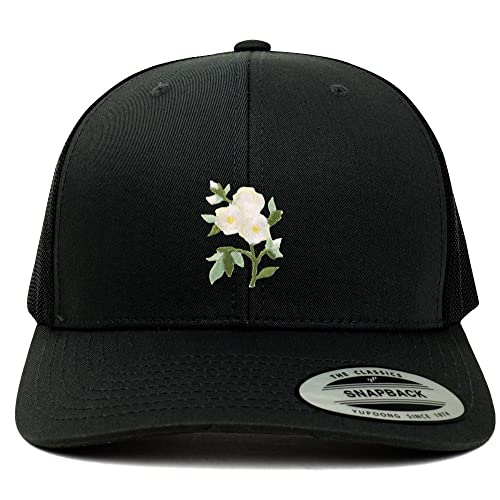AP0026-FLX-6606-BLK