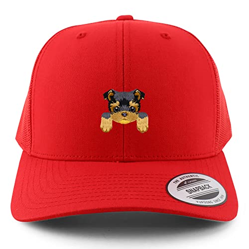 AP0016-FLX-6606-RED