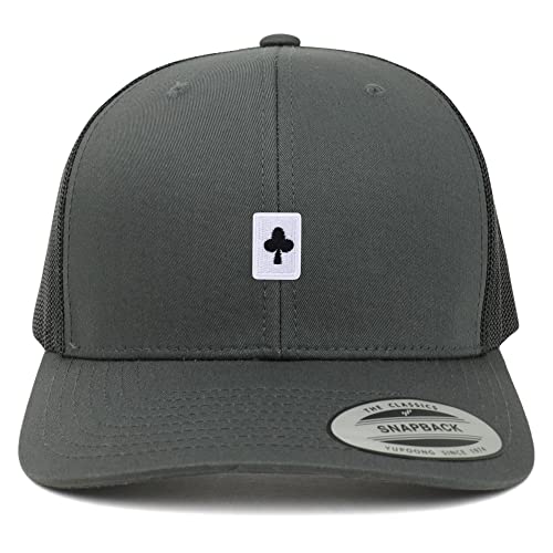AP0077-FLX-6606-CHA