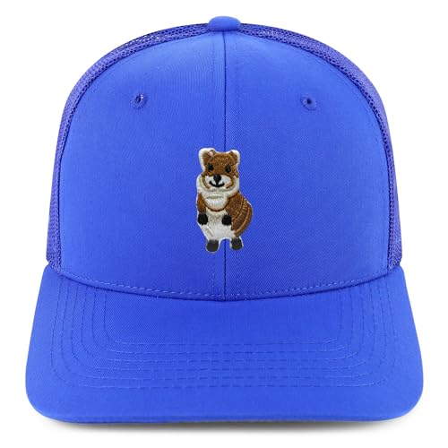 AP0171-NIS-GNV-003M-RYL