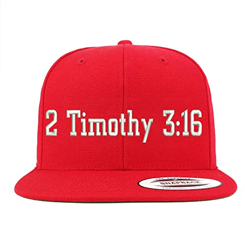 Trendy Apparel Shop 2 Timothy 3:16 Embroidered Flatbill Snapback