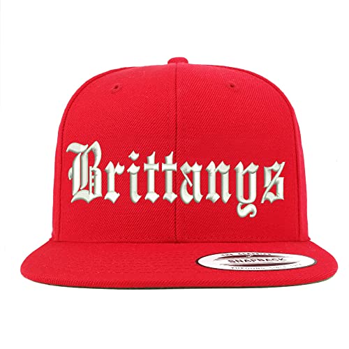 Trendy Apparel Shop Old English Brittanys Embroidered Flatbill Snapback