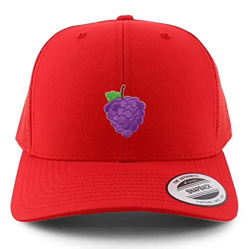 AP0120-FLX-6606-RED
