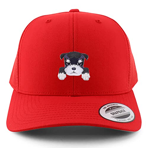 AP0005-FLX-6606-RED
