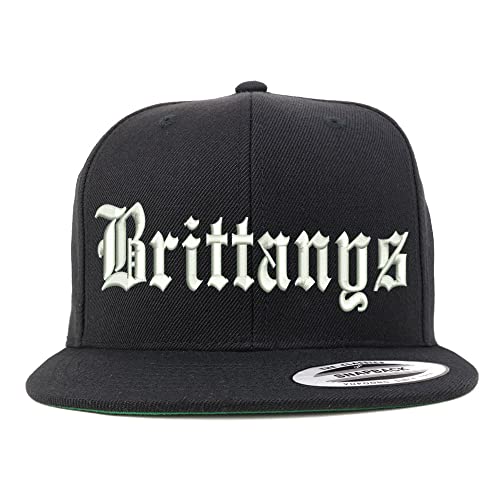 Trendy Apparel Shop Old English Brittanys Embroidered Flatbill Snapback