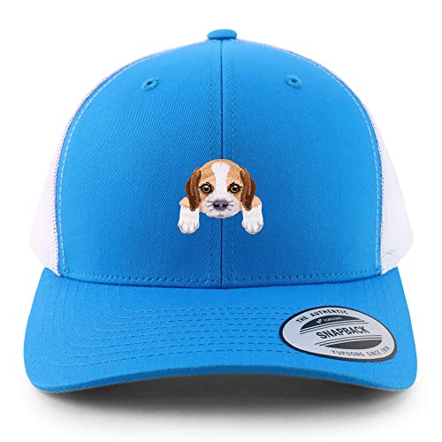 AP0019-FLX-6606-TEL-WHT