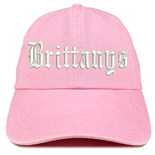 Trendy Apparel Shop Old English Brittanys Washed Pigment Dyed Baseball Cap