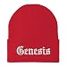 Trendy Apparel Shop Genesis Old English Embroidered Long Cuff Beanie