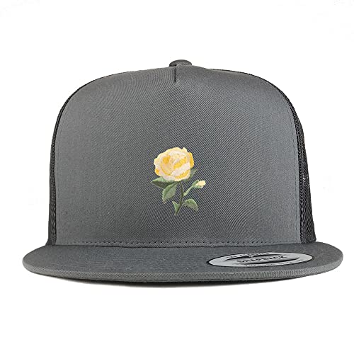 AP0027-FLX-6006-CHA