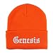Trendy Apparel Shop Genesis Old English Embroidered Long Cuff Beanie