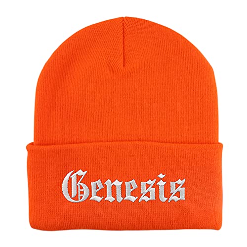 Trendy Apparel Shop Genesis Old English Embroidered Long Cuff Beanie