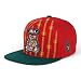 Trendy Apaprel Shop 5 Panel Bear Money Design Embroidered Flatbill Snapback Cap