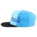 Trendy Apparel Shop Central America States Embroidered Mesh Back Flat Bill Cap