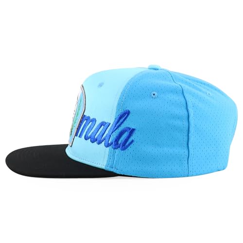 Trendy Apparel Shop Central America States Embroidered Mesh Back Flat Bill Cap