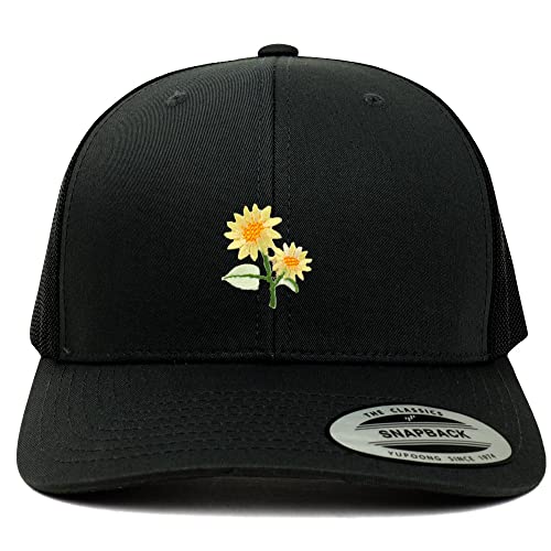 AP0025-FLX-6606-BLK