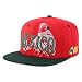 Trendy Apparel Shop Mexico Guadalupe Embroidered Flat Bill Snapback Cap