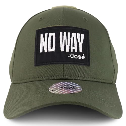 AP0243-CB-Y4361EV-OLV-L