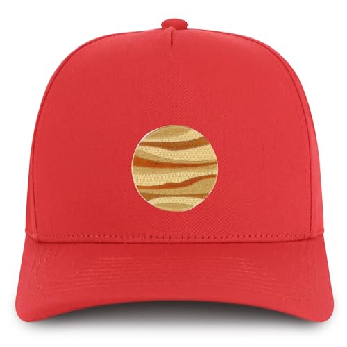 AP0208-NIS-GNV-007-RED