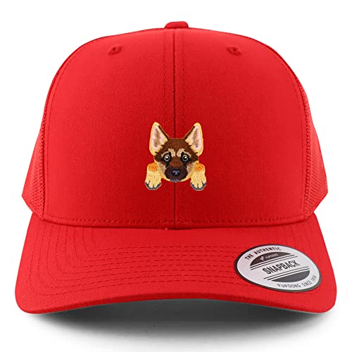 AP0009-FLX-6606-RED