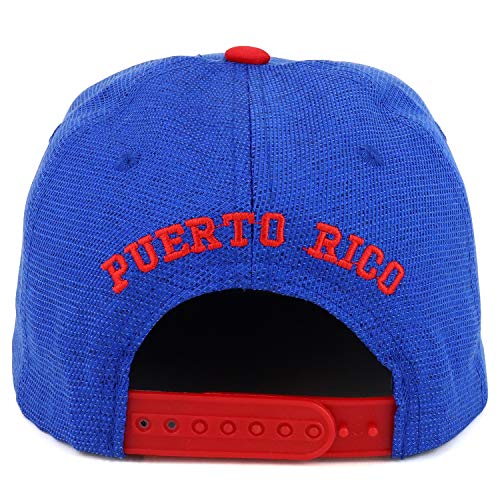 Trendy Apparel Shop Puerto Rico High Frequency Emblem Flat Bill Snapback Hat