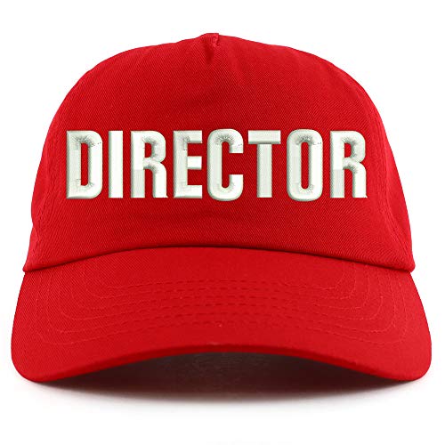 Trendy Apparel Shop Director Embroidered 5 Panel Unstructured Soft Crown Baseball Cap
