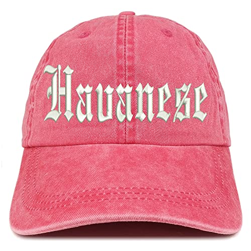 Trendy Apparel Shop Old English Havanese Washed Pigment Dyed Baseball Cap