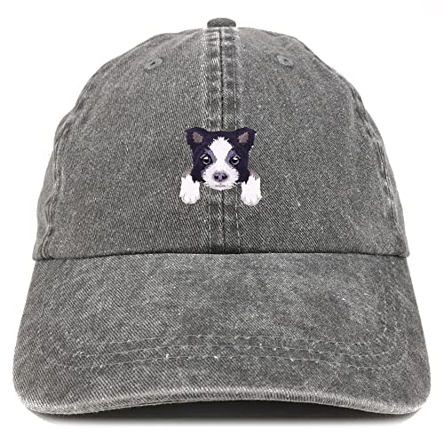 Trendy Apparel Shop Border Collie Patch Pigment Dyed Washed Baseball Cap