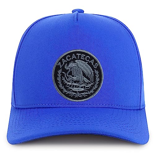 MXPATCH-ZAC-NIS-GNV-007-RYL-C