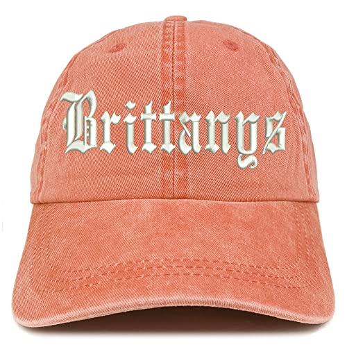 Trendy Apparel Shop Old English Brittanys Washed Pigment Dyed Baseball Cap
