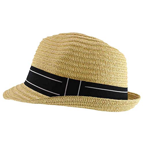 Trendy Apparel Shop Men's Paper Straw Woven Striped Band Stingy Fedora Hat