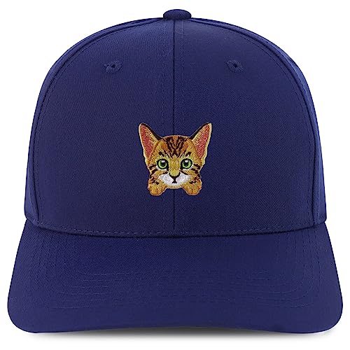 AP0146-NIS-GNV-004-NVY