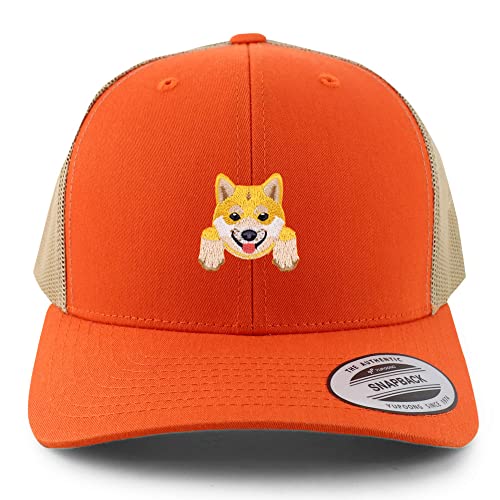 AP0006-FLX-6606-ORG-TAN