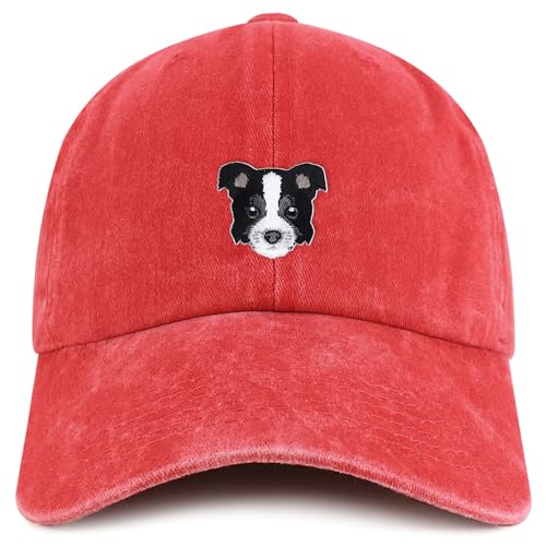 AP0258-MGC-7601-RED