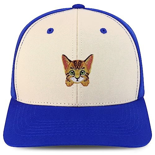 AP0146-NIS-GNV-004-STN-RYL