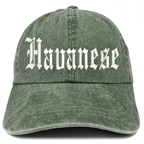 Trendy Apparel Shop Old English Havanese Washed Pigment Dyed Baseball Cap