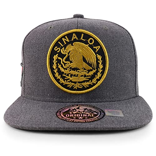 Trendy Apparel Shop Cities of Mexico Circular Logo Embroidered Flatbill Snapback Baseball Cap