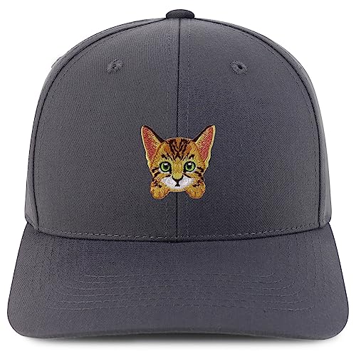 AP0146-NIS-GNV-004-CHA