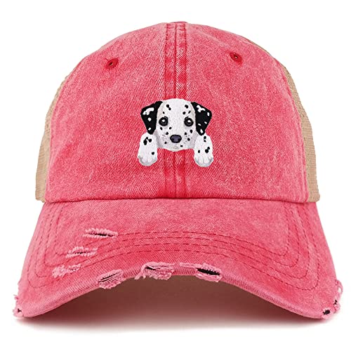 AP0012-NIS-GN-1012-RED