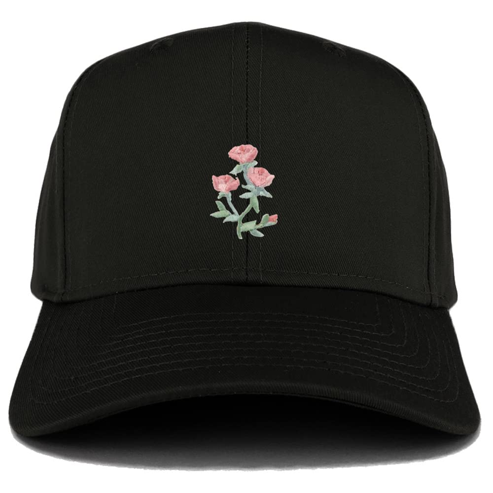 AP0022-27-079-BLK