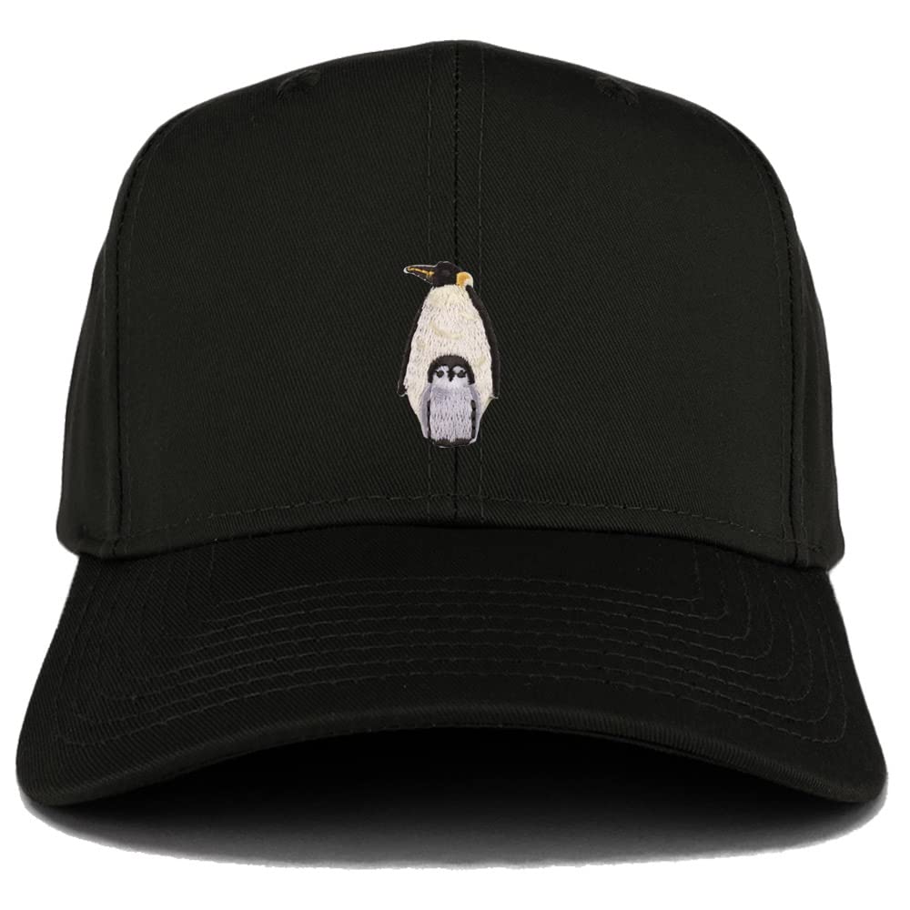 AP0035-27-079-BLK