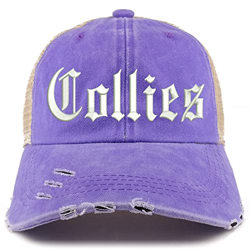 Trendy Apparel Shop Old English Collies Frayed Bill Trucker Mesh Back Cap
